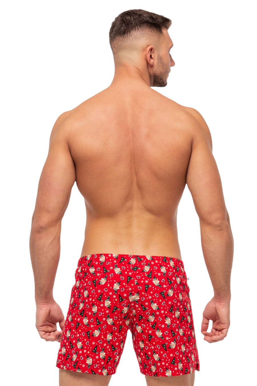 Boxers Red Fox Boxers Red Fox