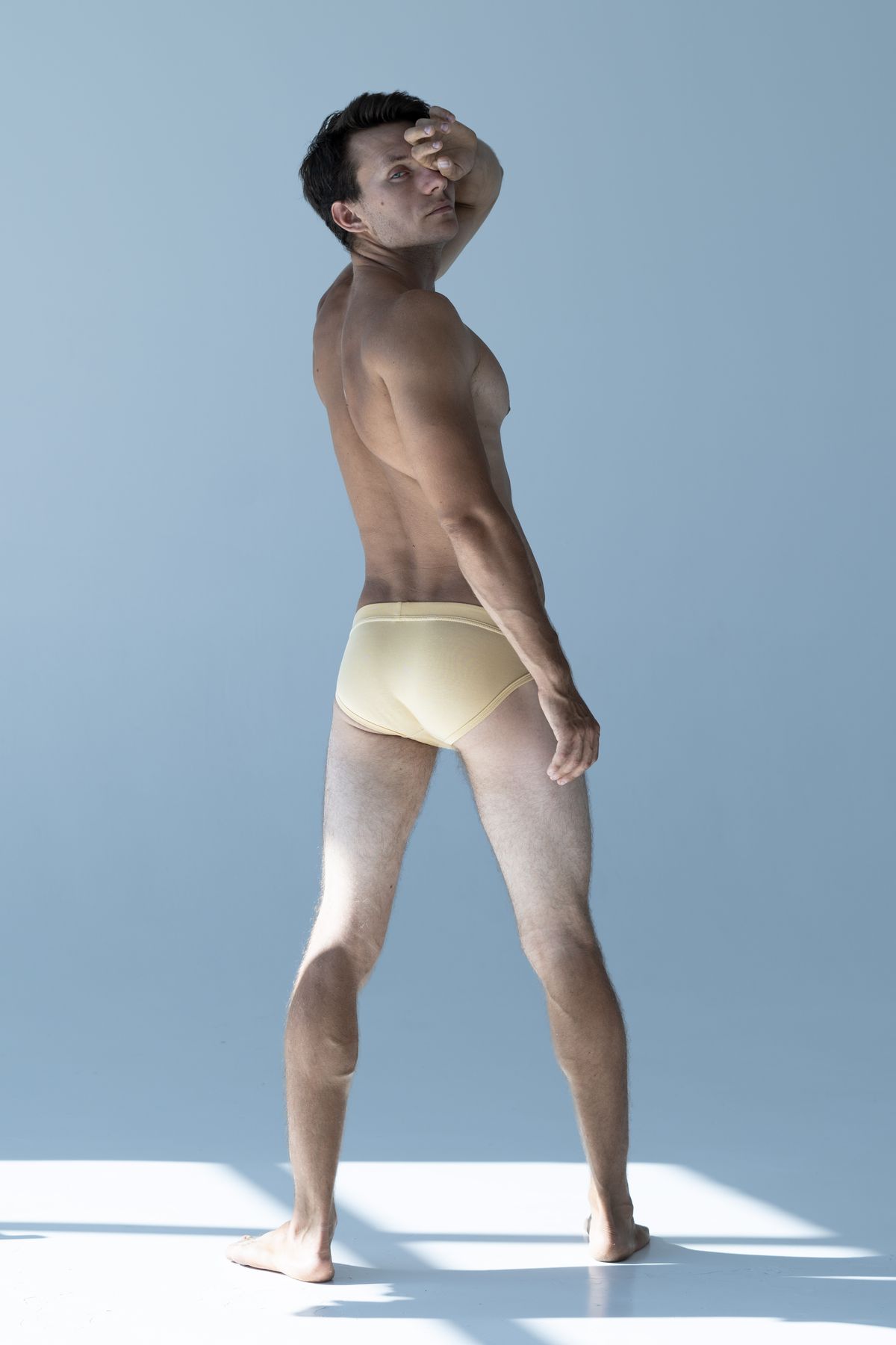 Summer modal wheat Summer modal wheat