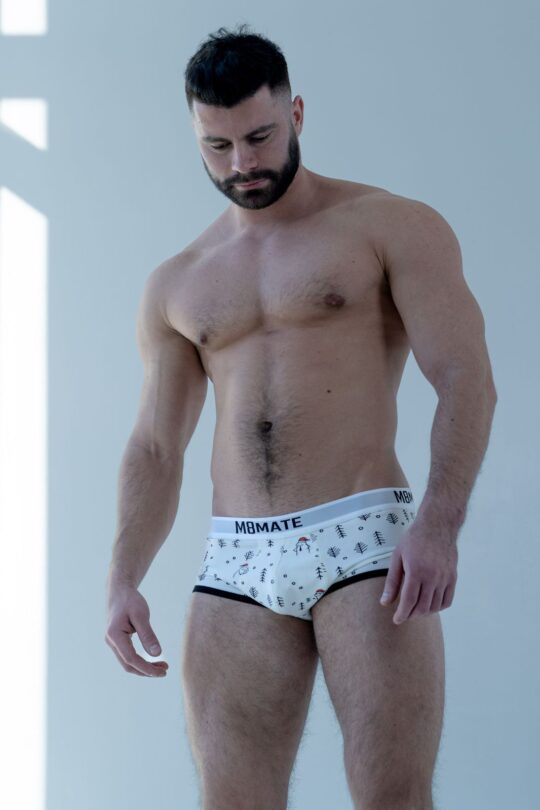 Vintage Christmas 2024