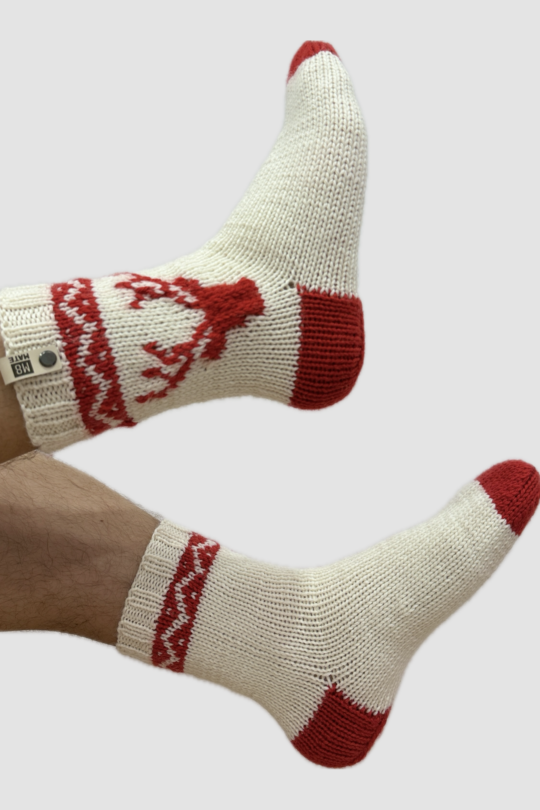 Шкарпетки в'язані New Year's deer Red