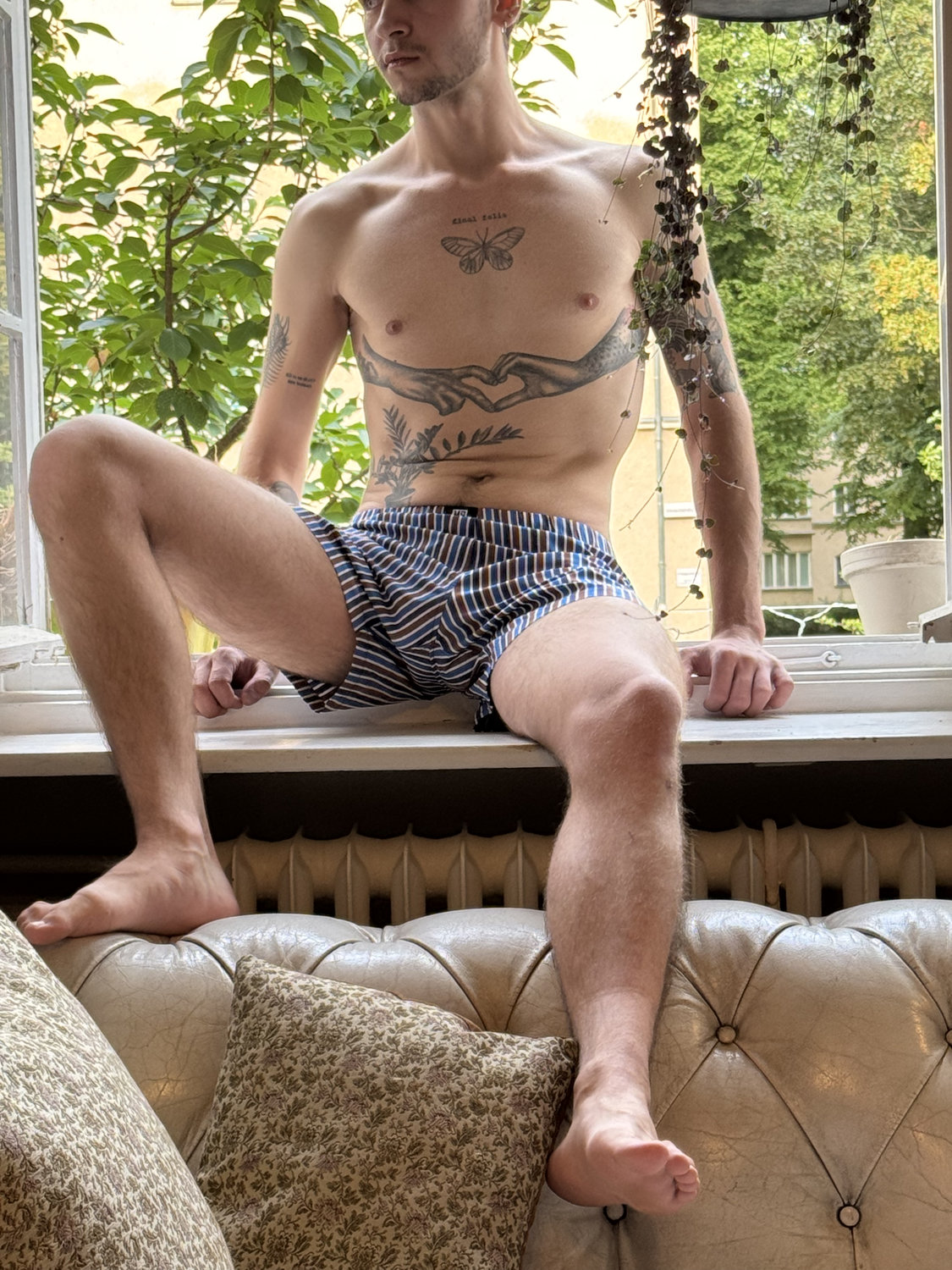 Boxers Strip Eco-cotton Boxers Strip Eco-cotton