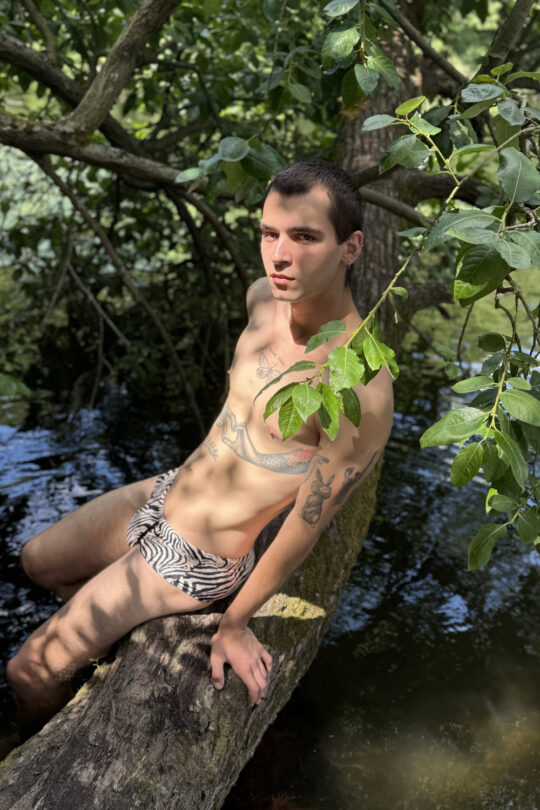 Плавки Zebra Brazil